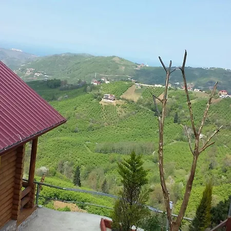 Cr Alpehytte Akcaabat